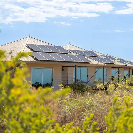 Eco Beach Wilderness Retreat Hotel Broome Exterior foto